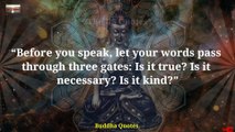 Powerful Buddha Quotes That Can Change Your Life | Buddha Quotes About Life | The US Quotes