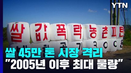 쌀값 폭락에...정부 "쌀 45만 톤 매입해 시장 격리" / YTN