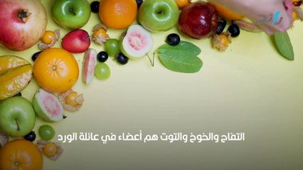 حقائق طريفة وغريبة ستصيب عقلك بالصدمة