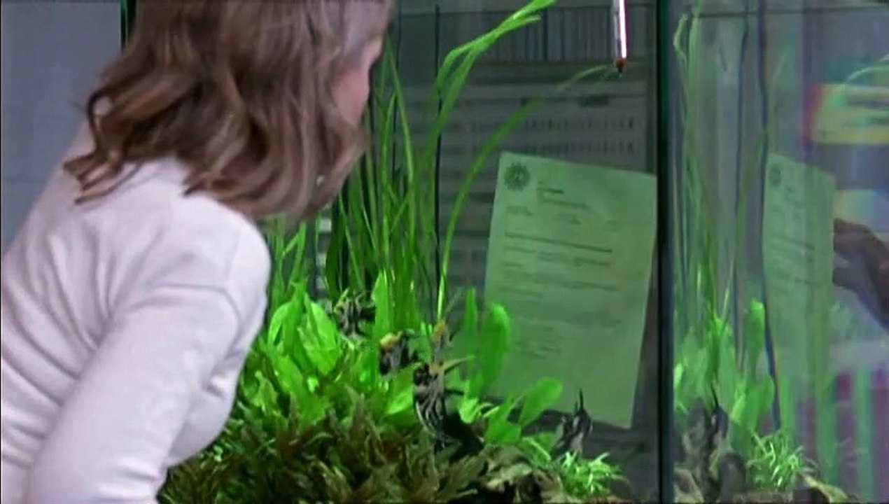 SOKO Köln Staffel 7 Folge 5 HD Deutsch