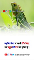 न्यू गिनिया नाम के गिरगिट का खून हरे रंग का होता है।_rameshgkstudy.