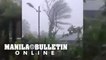Strong winds batter trees and houses in Brgy. Bonbon, Panukulan, Quezon due to 'Karding'