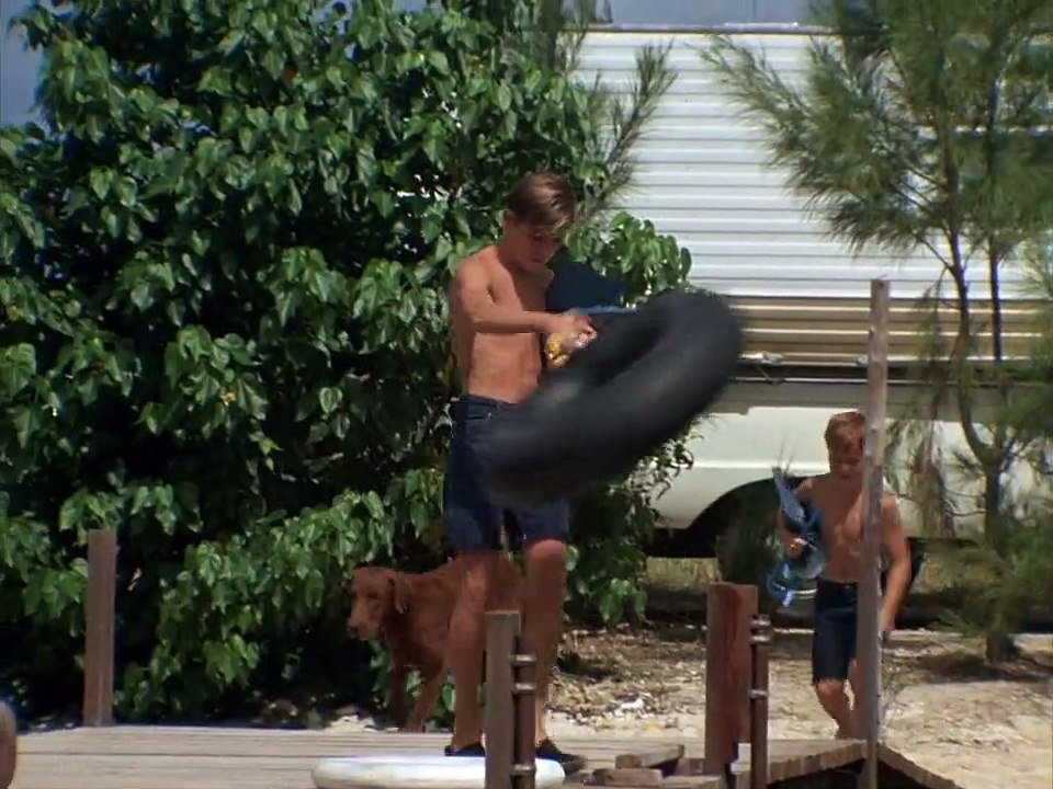 Flipper Staffel 1 Folge 3 HD Deutsch