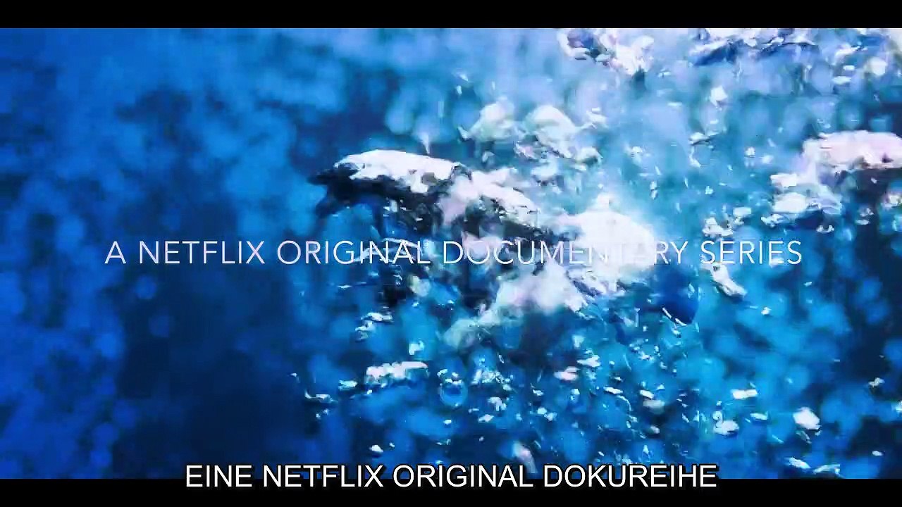 Das erste Lebensjahr Staffel 2 Folge 3 HD Deutsch