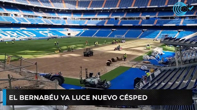 El Bernabéu ya luce nuevo césped