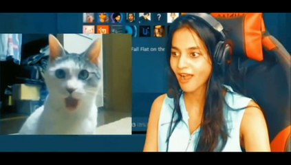 Shreeman legend funny meme prank on dynamo sister video 