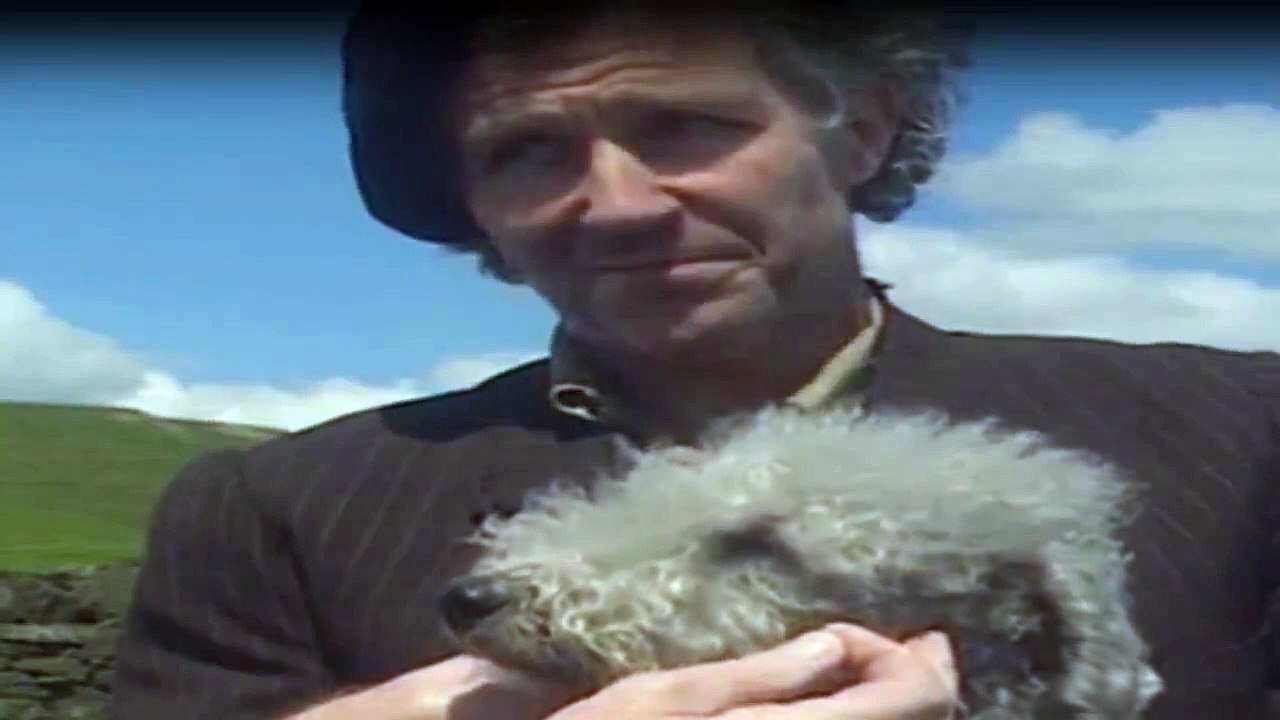 Der Doktor und das liebe Vieh Staffel 7 Folge 9 HD Deutsch