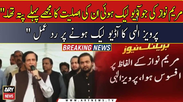 Maryam Nawaz k alfaz par afsos howa : Pervaiz Elahi