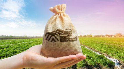 Ils pensaient faire construire leur maison de rêve, ils sont victimes d'une escroquerie