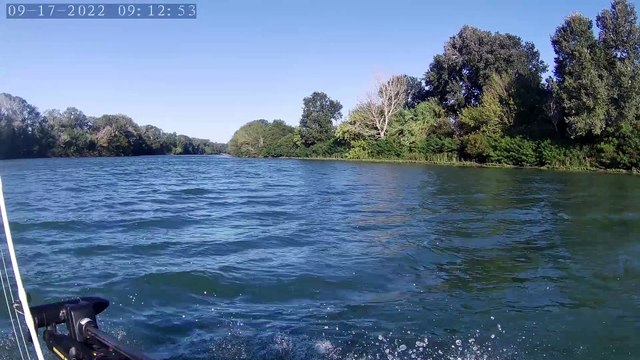 Silure Club Rhodanien : Direction le Petit Rhône