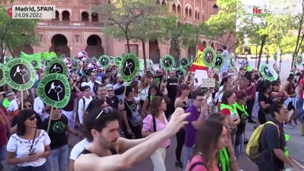 Protests against bullfighting in Madrid