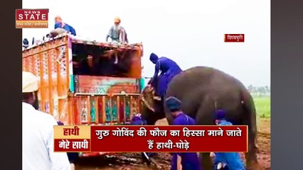 SHIVPURI ELEPHANT NEWS: हाथी ने कीचड़ से निकाले 3 ट्रक, सूंड से धक्का मारकर हाथी ने निकाला ट्रक