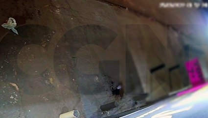 Homens quebram porta de vidro com chutes; veja vídeo