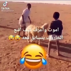 كيف أقنع الخروف يتسابق معاه ؟