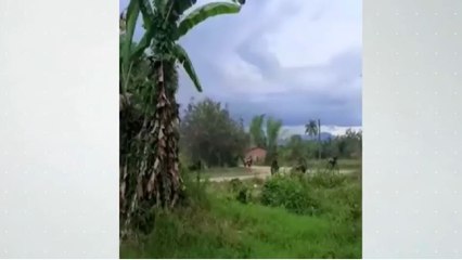 La invasión de tierras se está saliendo de las manos en Colombia: grave situación en el Cauca