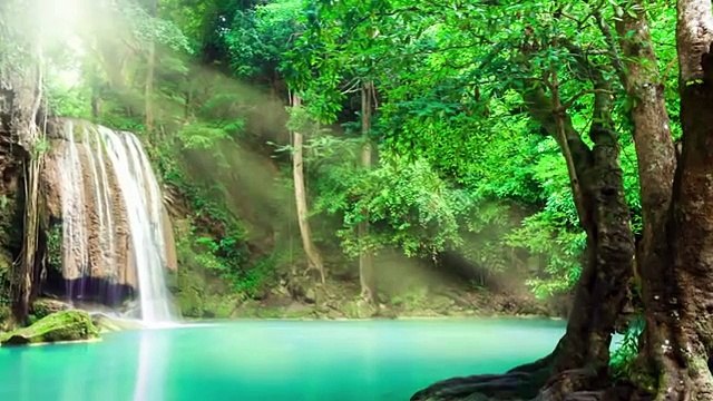 1 Hour of Relaxing Sleep Music: Soft Piano Music, Sleeping Music, Meditation Music, Fall Asleep ★89