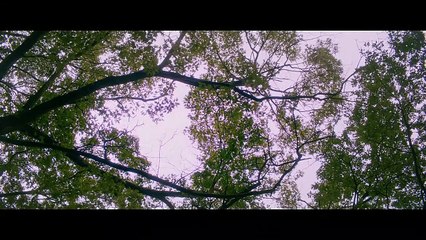 Je suis Michael Bande-annonce (EN)