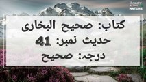 Sahih Bukhari Hadees No.41 _ Hadees Nabvi in Urdu _ Bukhari Hadees _ Bukhari Shareef in Urdu