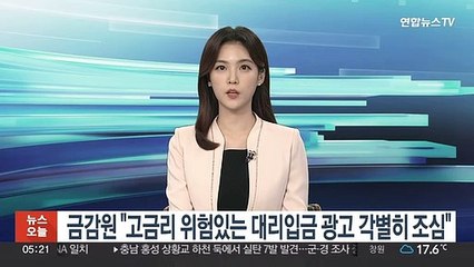 금감원 "고금리 위험있는 대리입금 광고 각별히 조심"