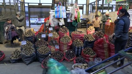 El precio de la patata se dispara en Perú