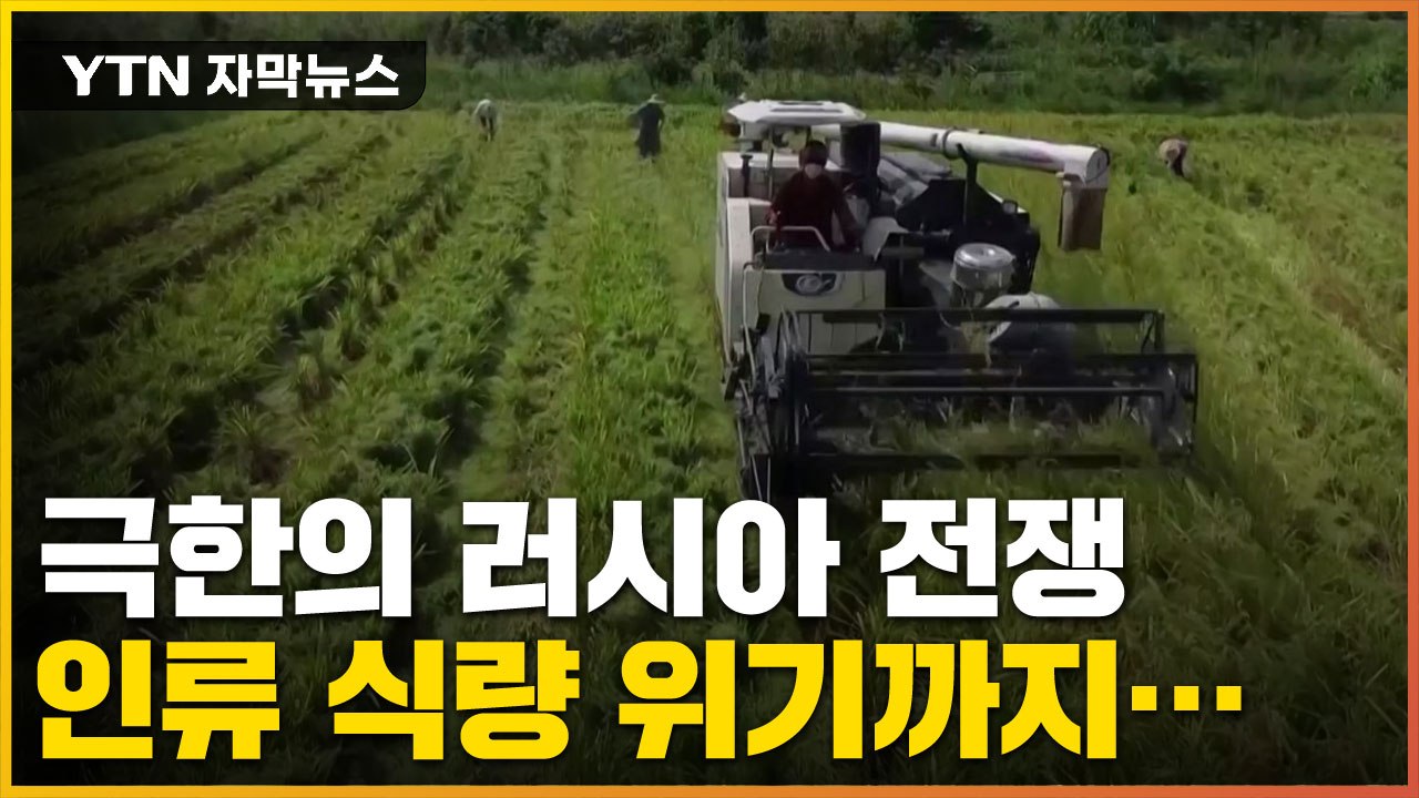 [자막뉴스] 극한의 러시아 전쟁, 인류 식량 위기까지... / YTN
