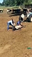 Arre_con_la_que_barre_saludos_mi_gente_#viral_#santafeklan_#funny_##memes