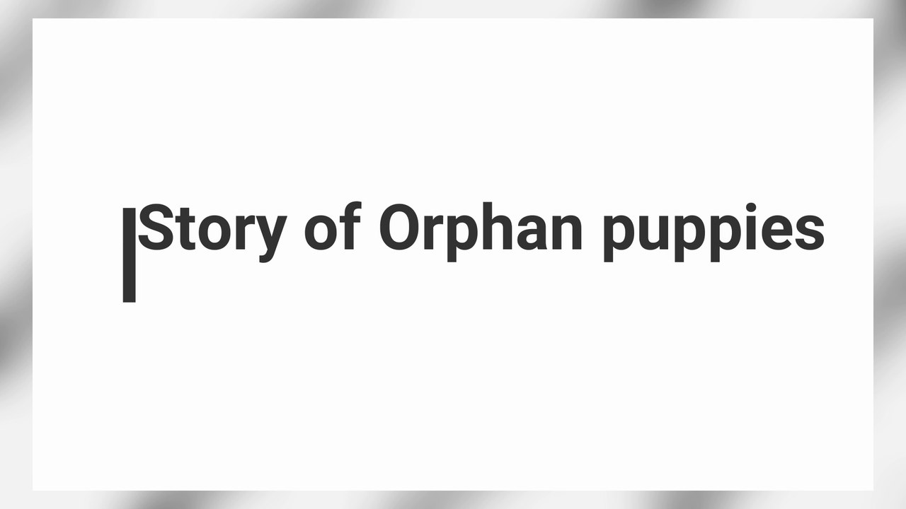A Sad Story of Cute & small Puppy