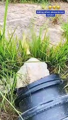 Top Funny Tik Tok Videos, Laughing videos