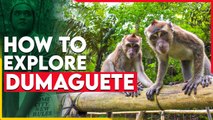 Things to Do in Dumaguete: From Outdoor Fun to Art Galleries, NegOr Has Got You Covered | Spot.ph