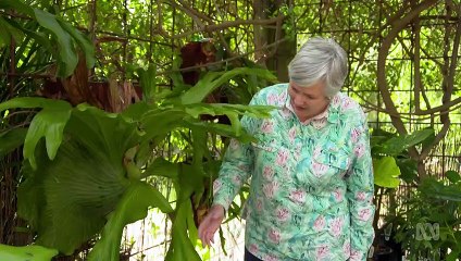 Gardening Australia episode 24 2022