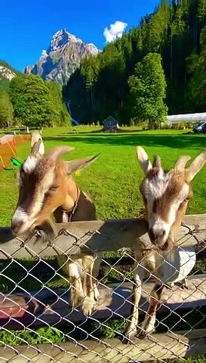FOLLOW TO MAXIMIZE YOUR TRIP IN SWITZERLAND