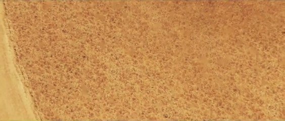 GTA 5 - The End Of Los Santos 8_ Sandstorm Haboob