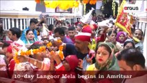 Langoor Mela Begins At Bada Hanuman Mandir in Amritsar