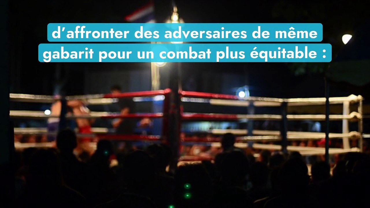 Boxe anglaise quelles sont les différentes catégories de poids ? Vidéo Dailymotion