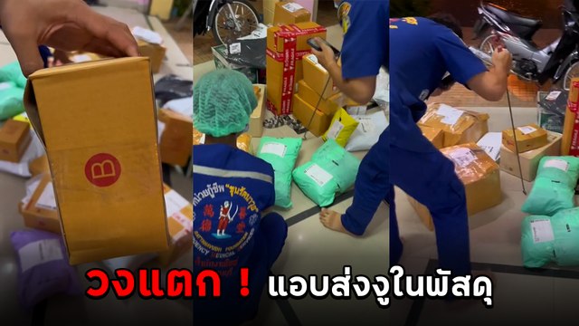 อย่าหาทำ ! ขนส่งวุ่นเจอลูกค้าแอบส่งงูผ่านกล่องพัสดุ งูหลุดทำพนักงานต้องผวา
