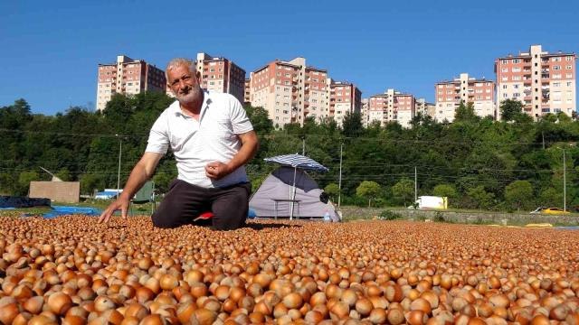Ordu ekonomi: Ordu'da üreticilerin zorlu fındık kurutma mesaisi