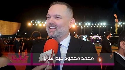 محمد محمود عبد العزيز