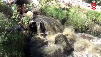 Kadirli’deki Savrun Çayı'na dökülen kimyasallar suyun rengini siyaha çevirdi