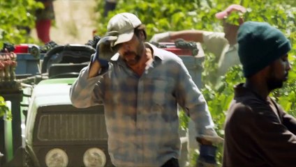 TODOS LO SABEN. Trailer oficial