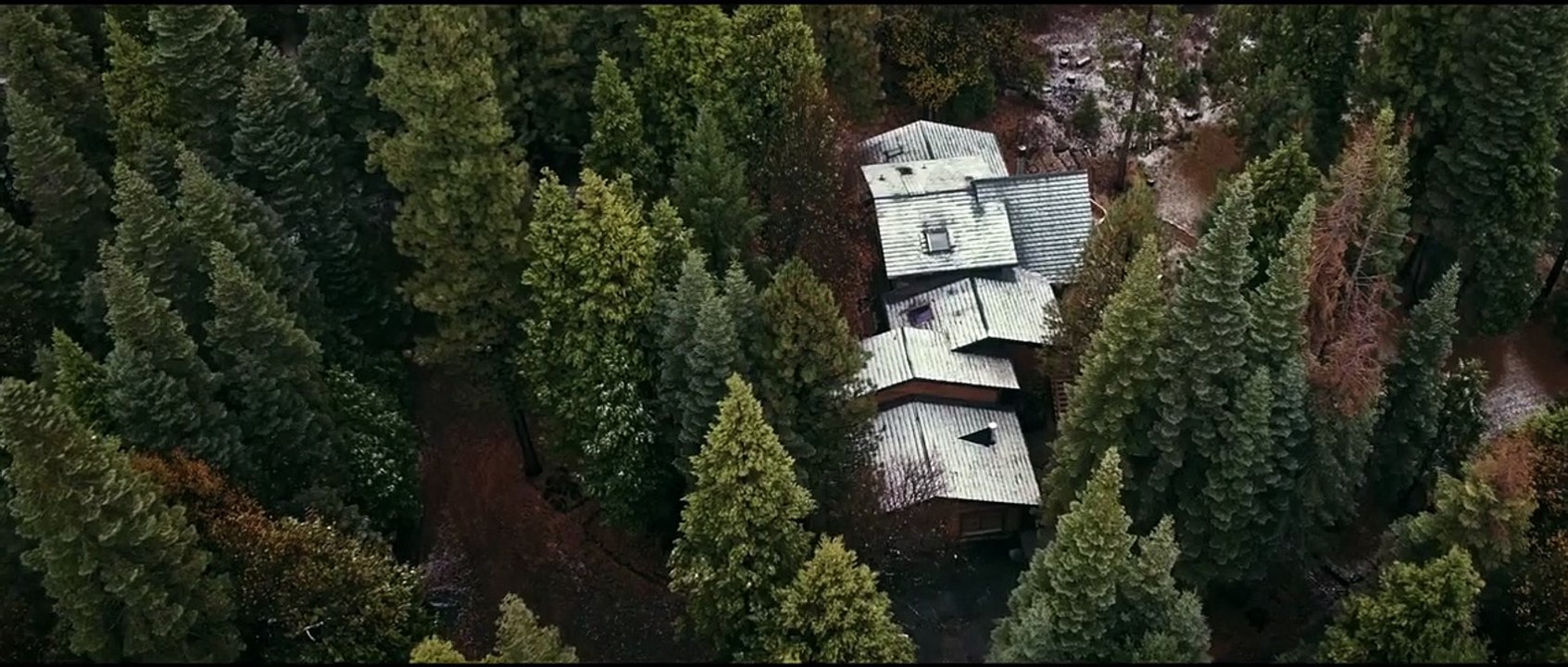 Alone Bande-annonce (EN)