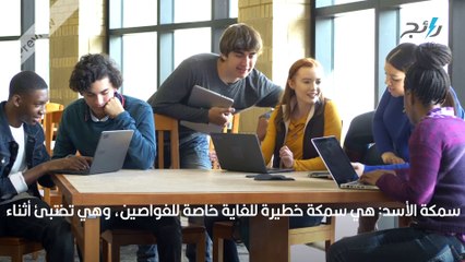 اسماك خطيرة