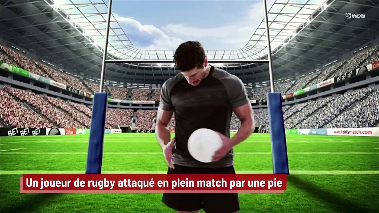 Un joueur de rugby attaqué en plein match par u...