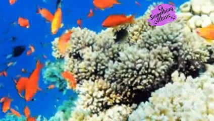 Relaxing Music for Stress Relief. Water Singing. Soothing Music for Meditation, Therapy, Sleep