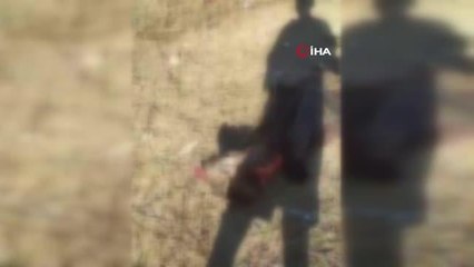 İstanbul'da korkunç iddia, domuzları avlayıp etlerini aldılar