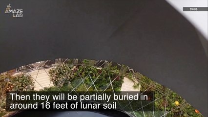 This Is the Inflatable ‘Moon Village’ Astronauts Might Soon Be Living In