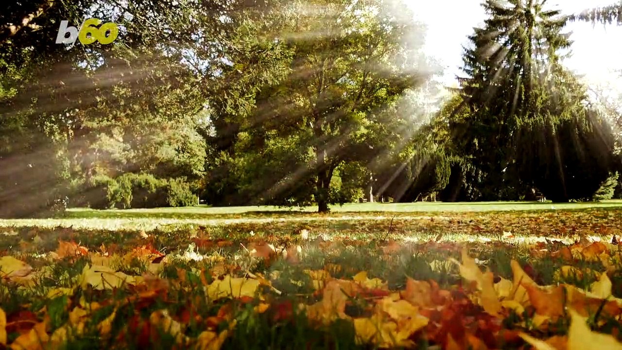 Fall for Travel This Season With These Cost Effective Tips