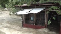 Filipinler'de Noru Tayfunu nedeniyle binlerce kişi tahliye edildi