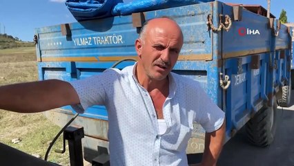 Açıklama geldi, fiyatı duyan çiftçi soluğu orada aldı!