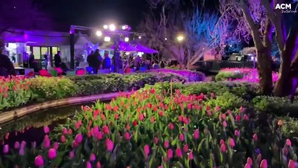 A rainy but successful Tulips After Dark - Saturday, September 24, 2022 - Southern Highland News