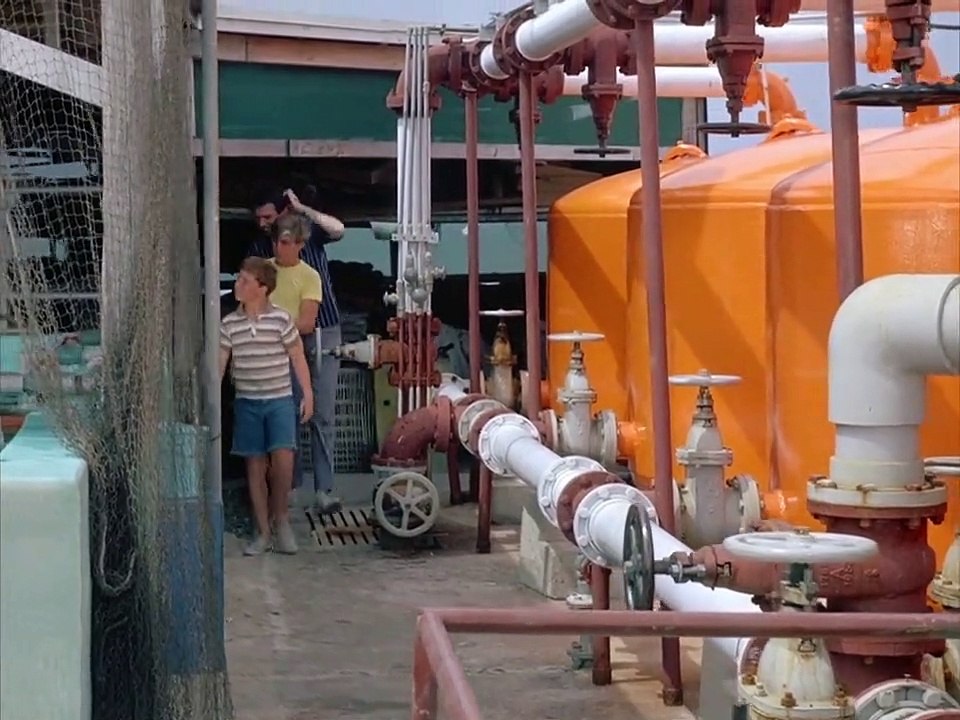 Flipper Staffel 1 Folge 8 HD Deutsch